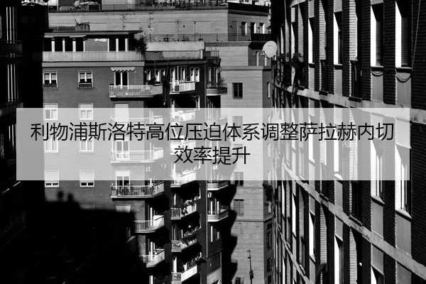 li-wu-pu-si-luo-te-gao-wei-ya-po-ti-xi-tiao-zheng-sa-la-he-nei-qie-xiao-lv-ti-sheng-3-663.jpg